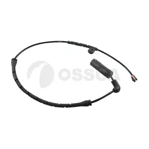 06174 OSSCA