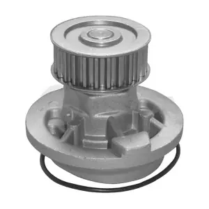 OSSCA 00211
