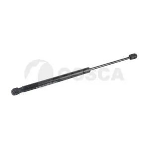 22941 OSSCA