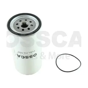 45681 OSSCA