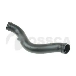 41530 OSSCA