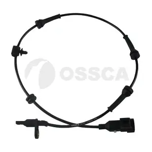 48384 OSSCA