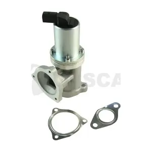 34291 OSSCA
