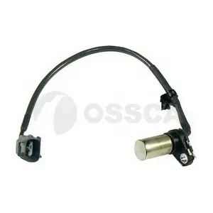 21241 OSSCA