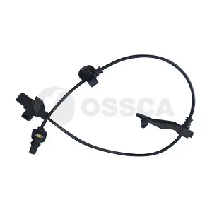 31217 OSSCA