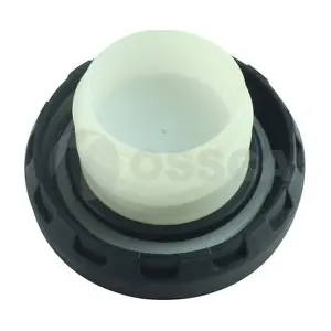 69913 OSSCA