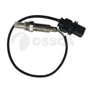 27784 OSSCA