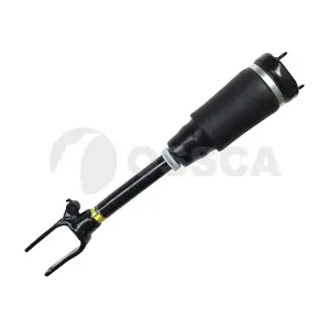 25950 OSSCA
