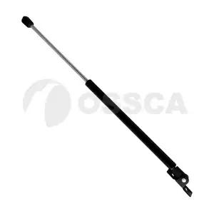 11129 OSSCA