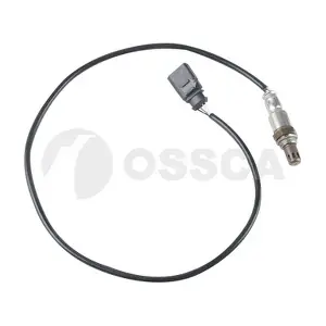 50976 OSSCA