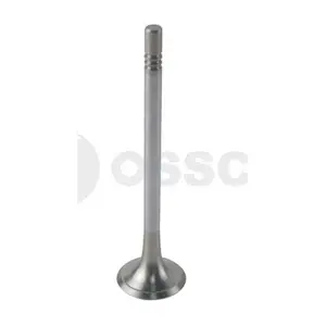 55916 OSSCA