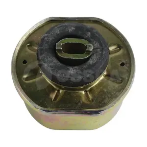 11224 OSSCA