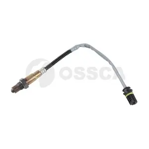 40511 OSSCA