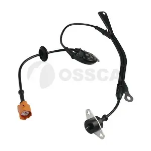 20512 OSSCA