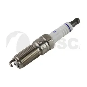 84326 OSSCA