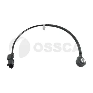 54245 OSSCA