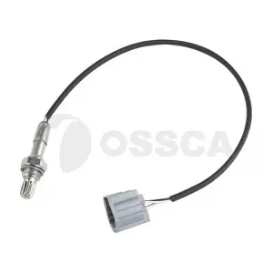 41064 OSSCA