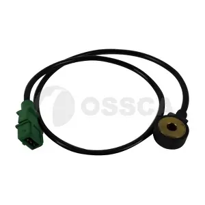 06656 OSSCA