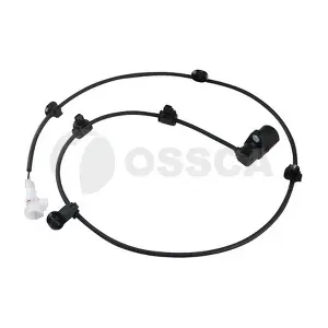 36618 OSSCA