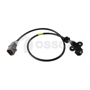 23005 OSSCA