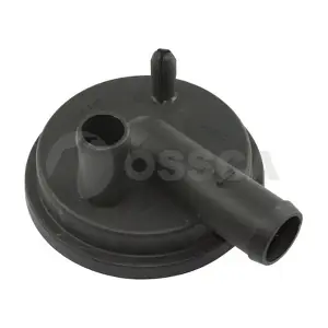 09242 OSSCA