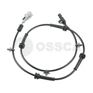 21598 OSSCA