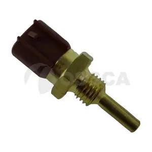 21249 OSSCA