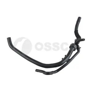 55534 OSSCA