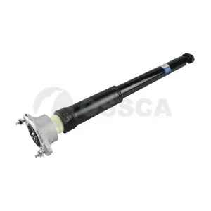 25944 OSSCA