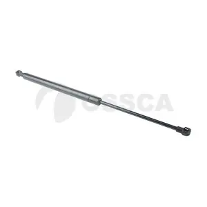 24478 OSSCA