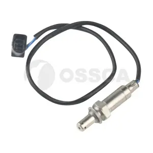18234 OSSCA