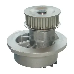 OSSCA 00495