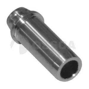 00513 OSSCA
