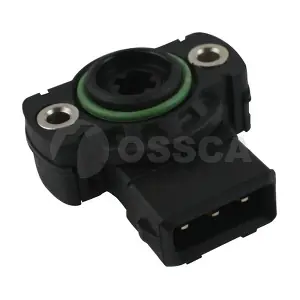 06966 OSSCA