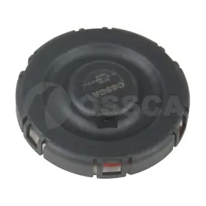 25738 OSSCA
