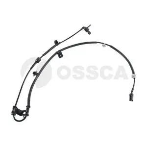 36653 OSSCA
