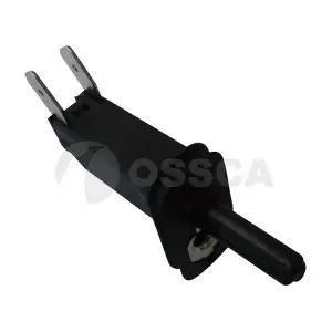 14198 OSSCA