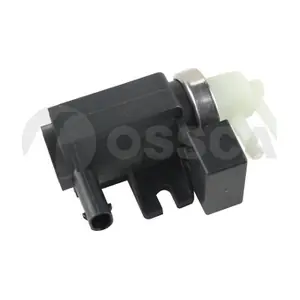 52784 OSSCA