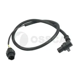 13083 OSSCA