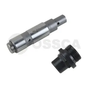 42179 OSSCA