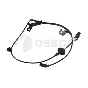 21539 OSSCA