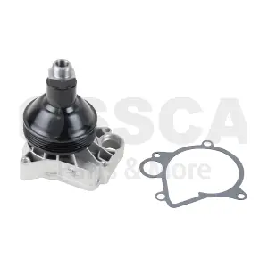 29090 OSSCA