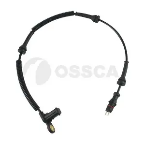 21223 OSSCA