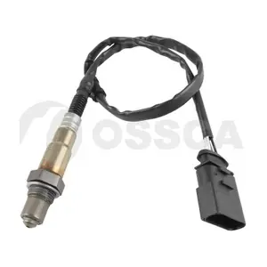 50998 OSSCA