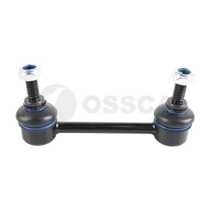 08954 OSSCA