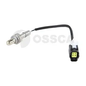 41695 OSSCA