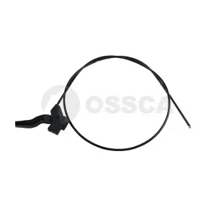 17145 OSSCA