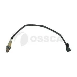76956 OSSCA