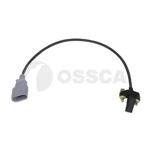 24908 OSSCA