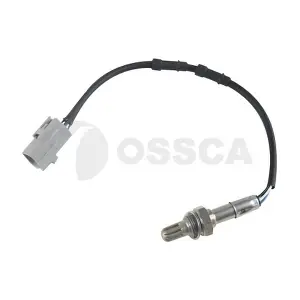 48728 OSSCA